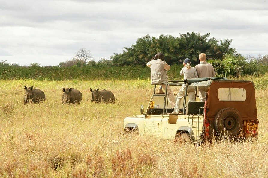 Exploring Nyerere National Park attractions