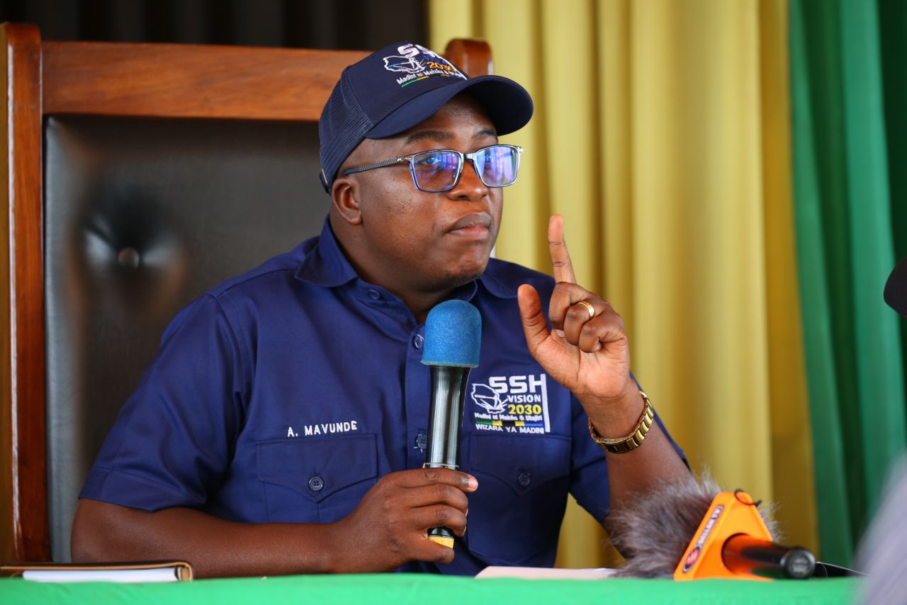 Minerals Minister Anthony Mavunde
