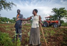 Auma Fatuma tills her garden with a hoe as a tractor ploughs the other chunk. Mechanisation has helped her increase her acreage and production.