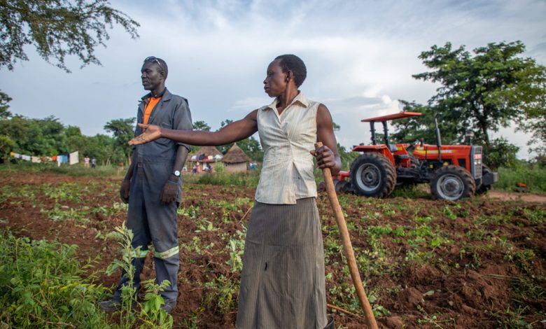 Auma Fatuma tills her garden with a hoe as a tractor ploughs the other chunk. Mechanisation has helped her increase her acreage and production.