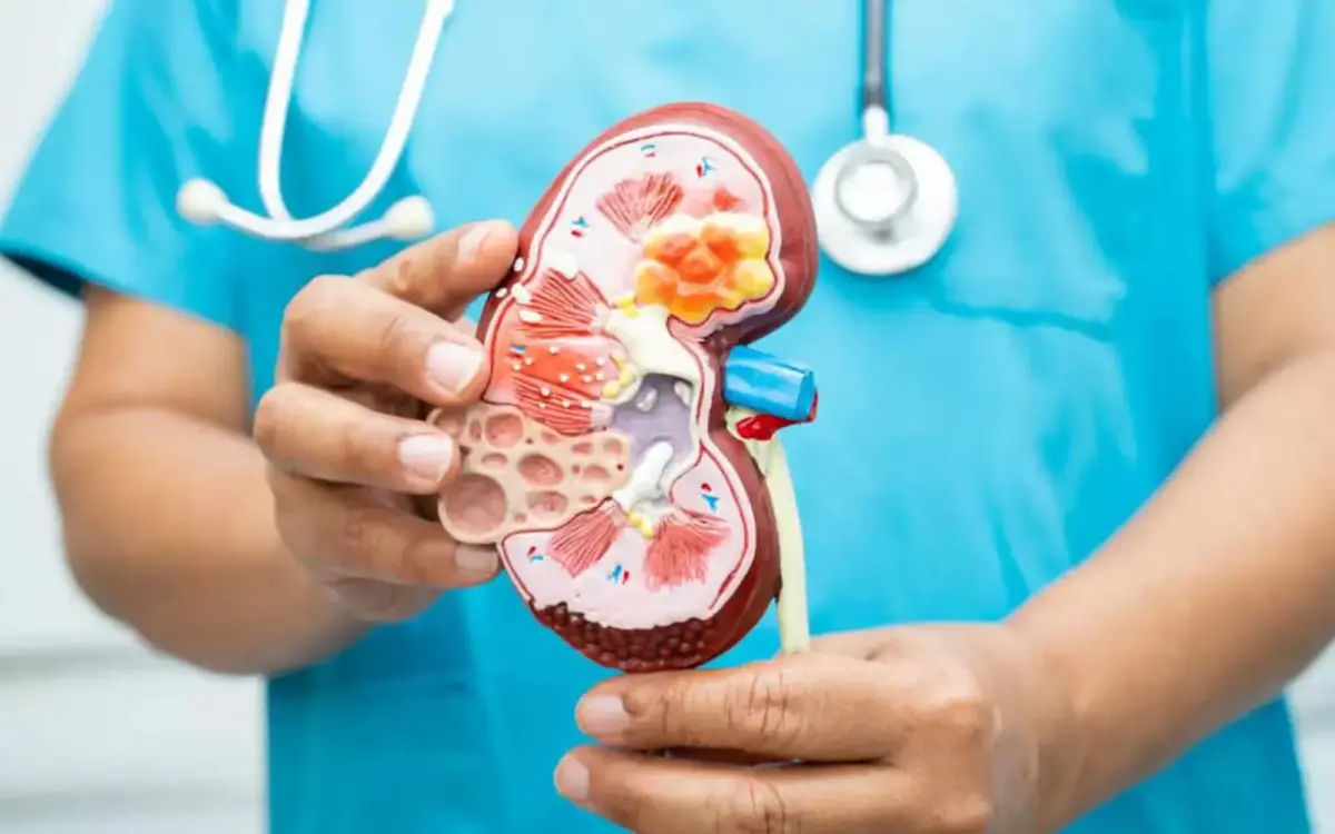 Kidney donation offers hope to Tanzanians living with chronic kidney disease