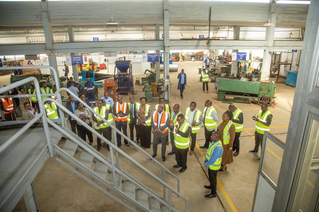 Tanzania’s agricultural processing, value-adding plant nears completion ...