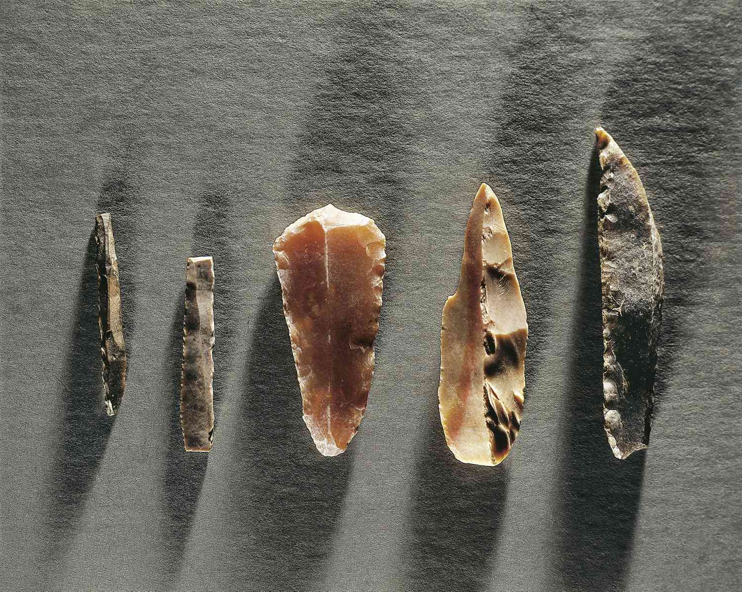 Early humans relied on simple stone tools in a changing East African landscape