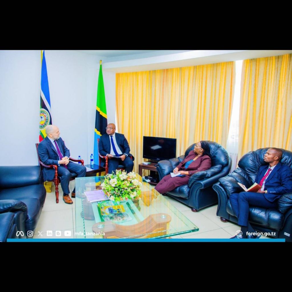 Tanzania, Brazil pledge to deepen ties in strategic sectors - Daily News