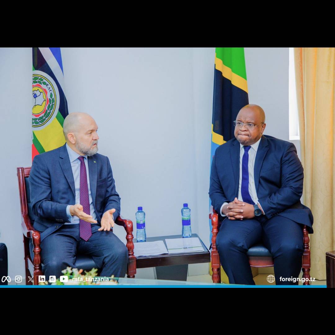 Tanzania, Brazil pledge to deepen ties in strategic sectors - Daily News