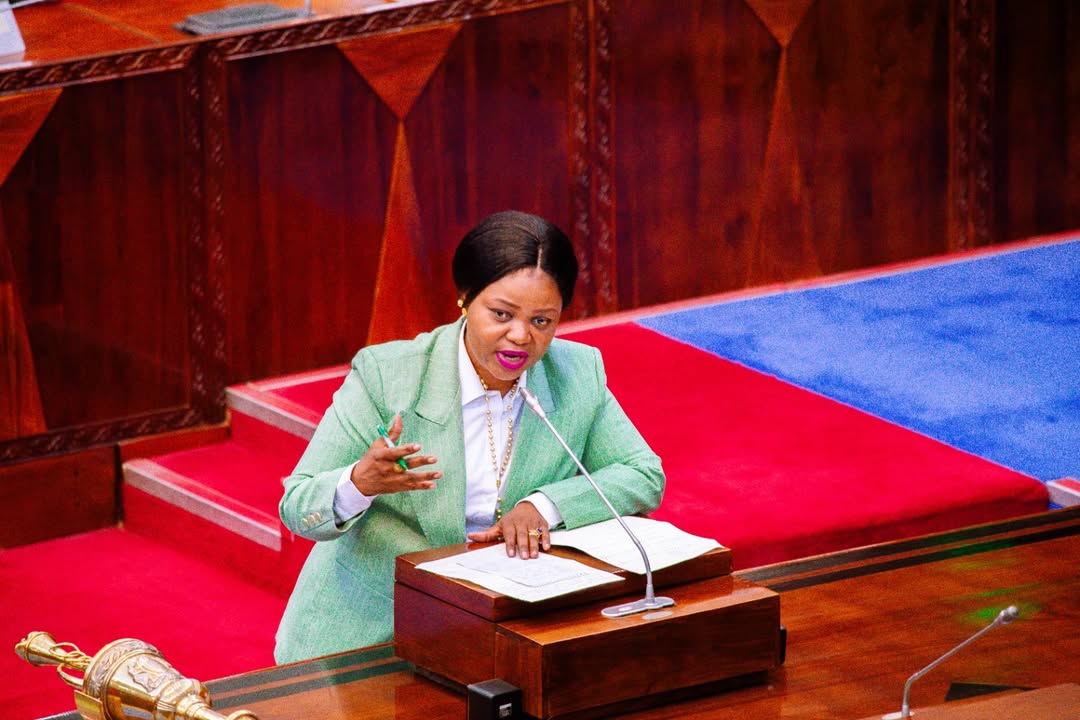 Tanzania outlines measures enable women play a role in implementing Vision 2050