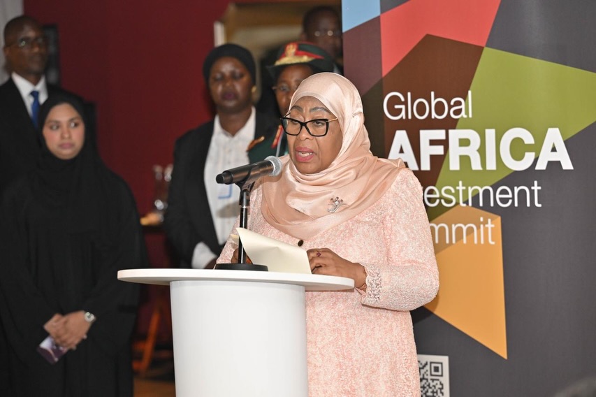 Tanzania unveils secrets of appealing global investments   