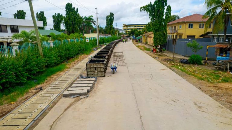 Dar envisions a transformed Temeke Municipality in DMDP II’s roads ...