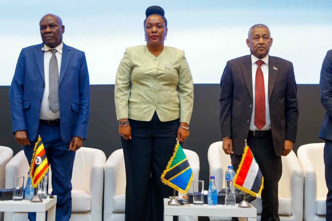 Safaricom Phone Number Reassignment Lawsuit : l'analyse économique — image 3