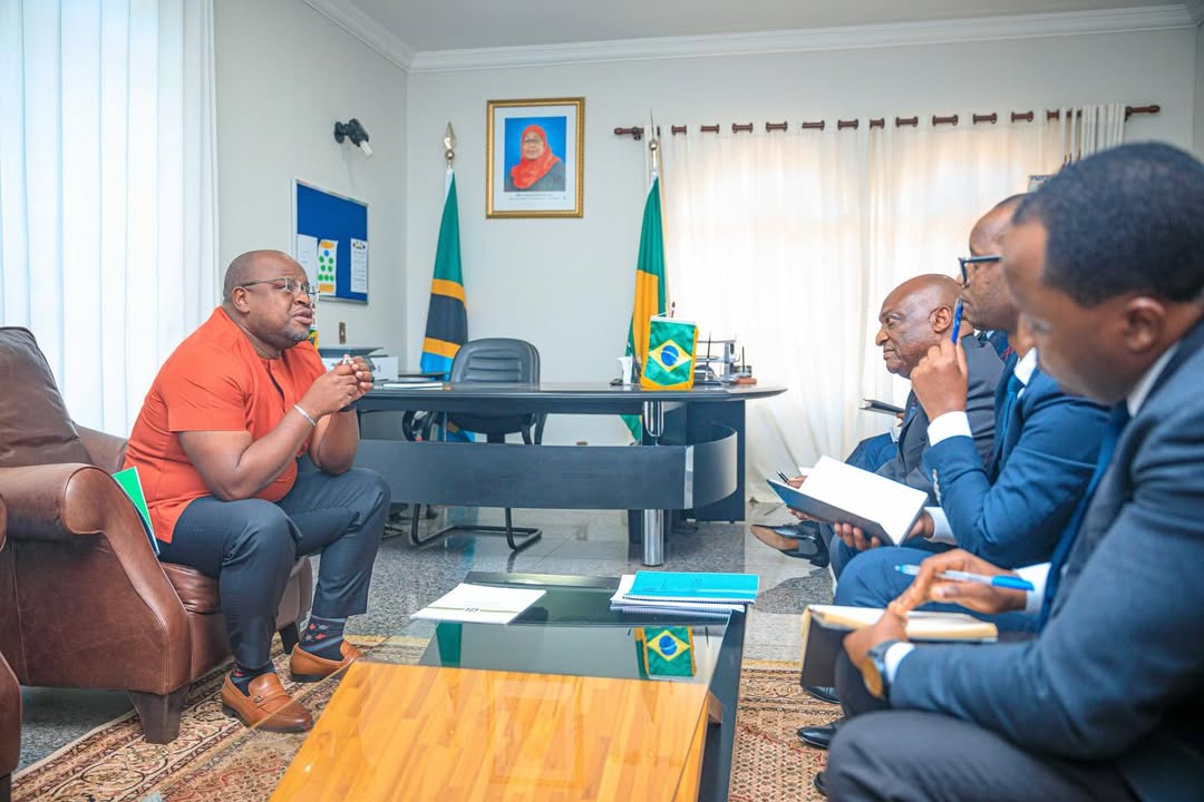 Tanzania embarks on diplomatic efforts to attract Brazilian investors
