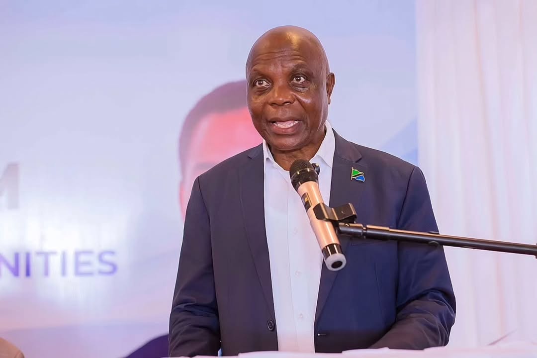 Kigoma unveils vast untapped fortunes in agriculture, industry, tourism, and mining