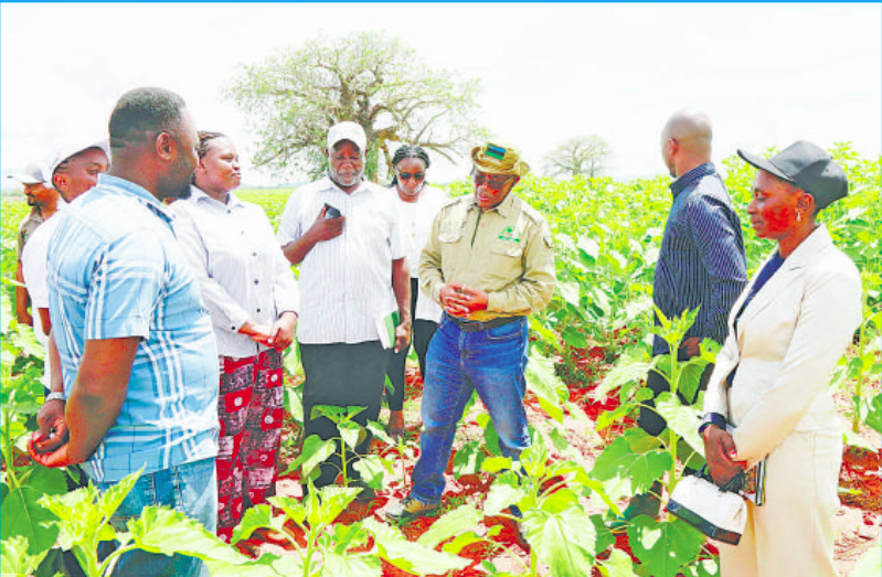 Youth empowerment key to Tanzania’s long-term stability