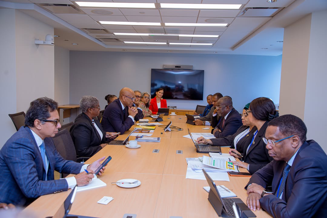 FC pledges to work with Tanzania on energy and railway infrastructure projects