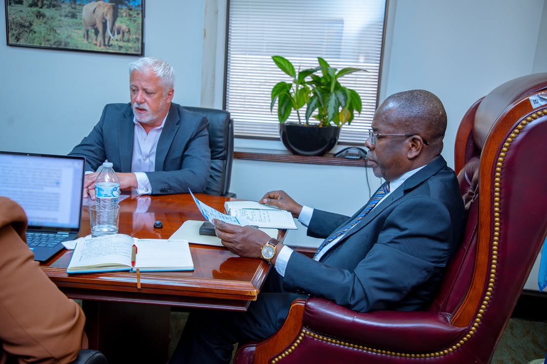 Tembo Nickel seeks to expand its footprint in Tanzania’s mining industry