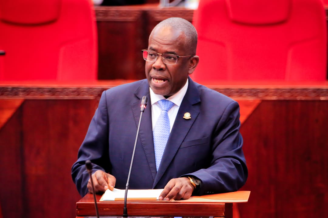 Tanzania conducts a comprehensive assessment of the 30 percent tax imposed on forest products export