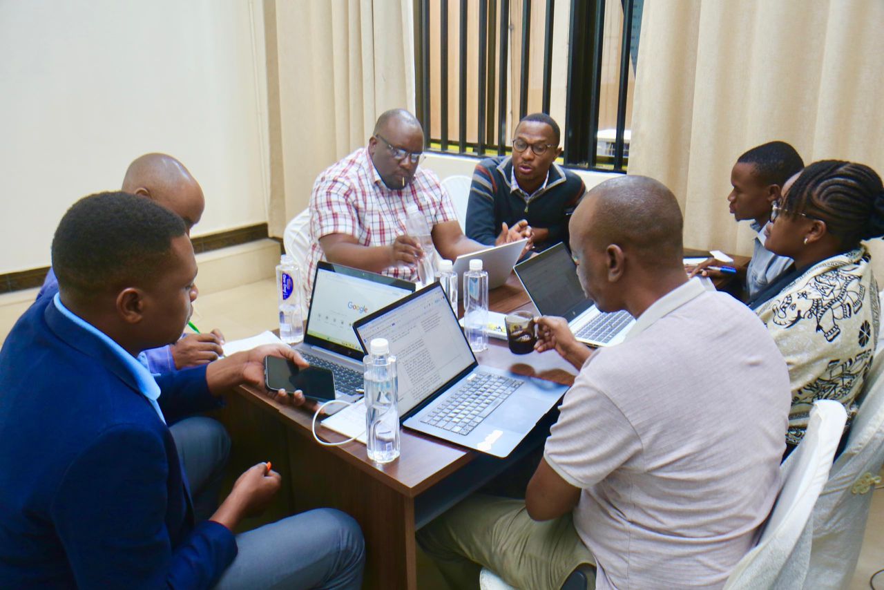 Tanzania unveils three strategies in its efforts to combat diseases