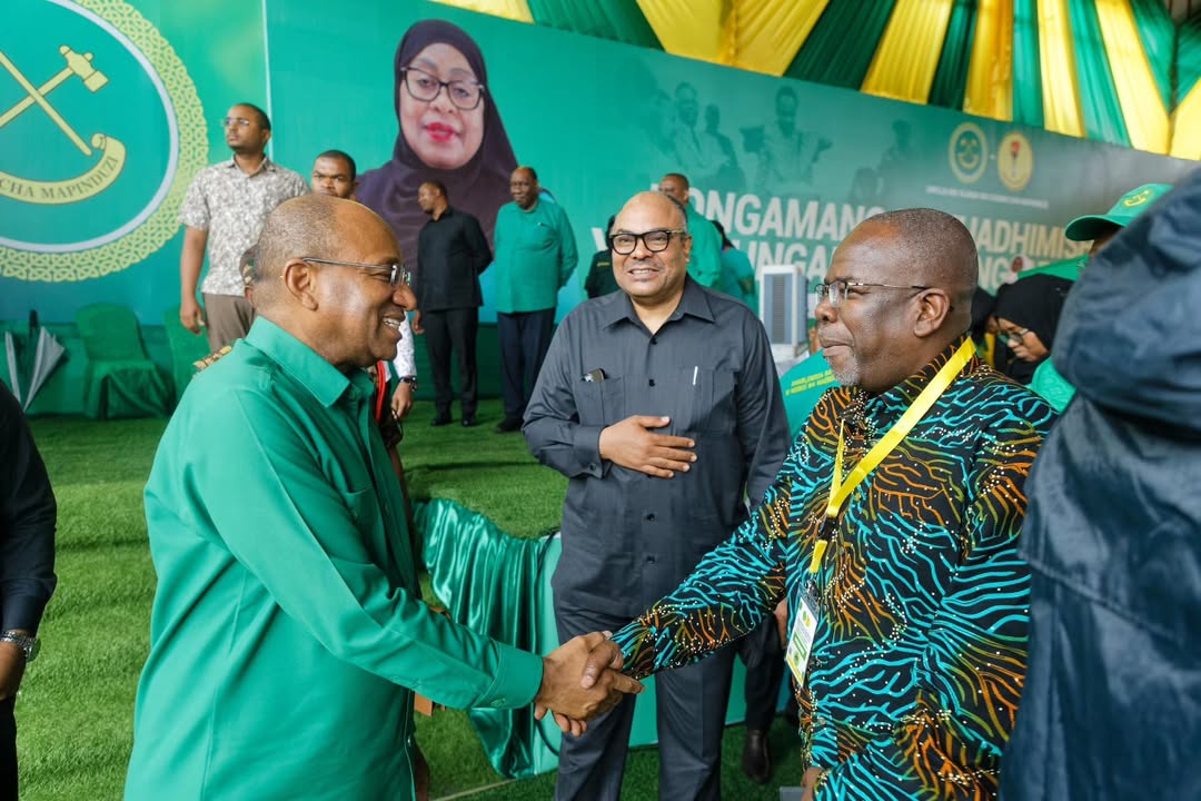 Mwinyi pledges youth wellbeing improvement