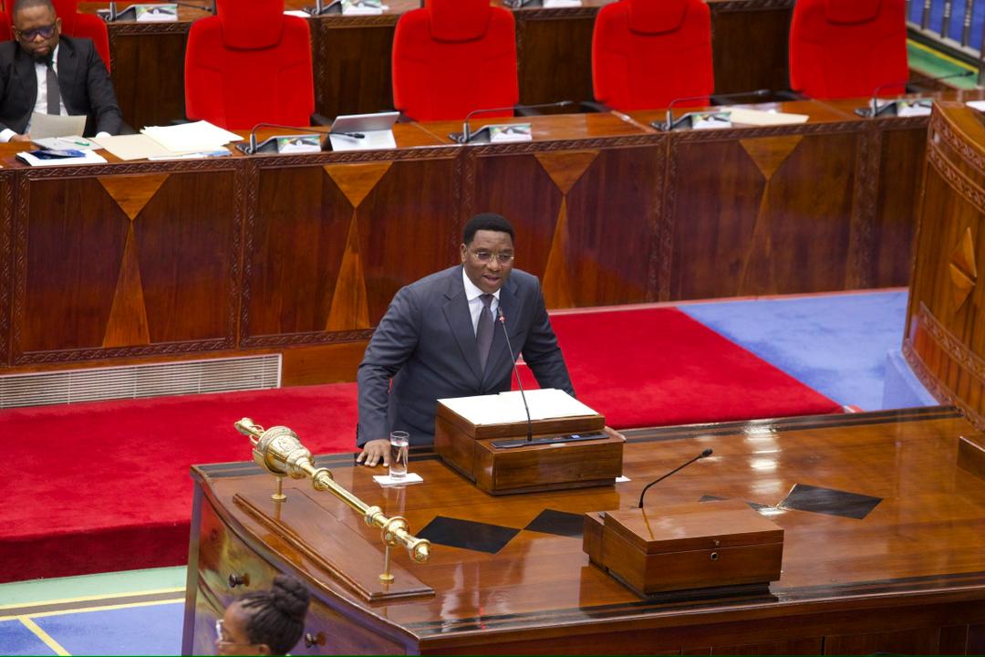 Tanzania allocates 424.6 acres in Kongwa for Africa’s liberation heritage centre