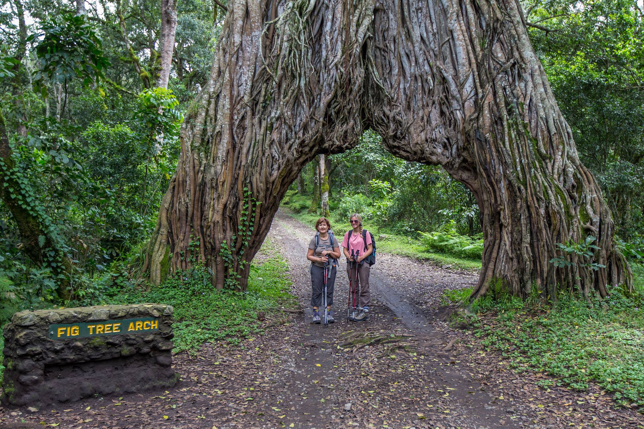 Arusha National Park attracts visitors with rich wildlife, scenic landscapes