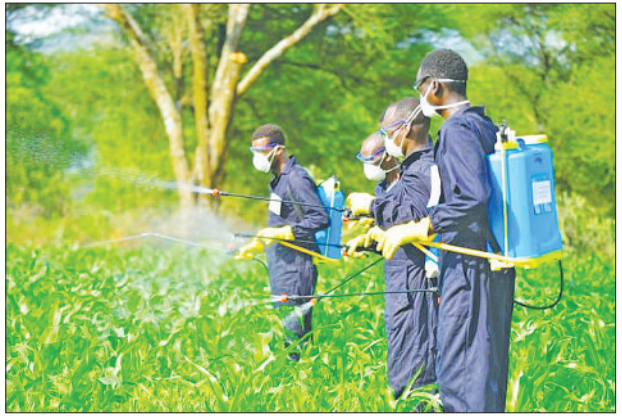 Regional drive challenges dangerous pesticide dependency