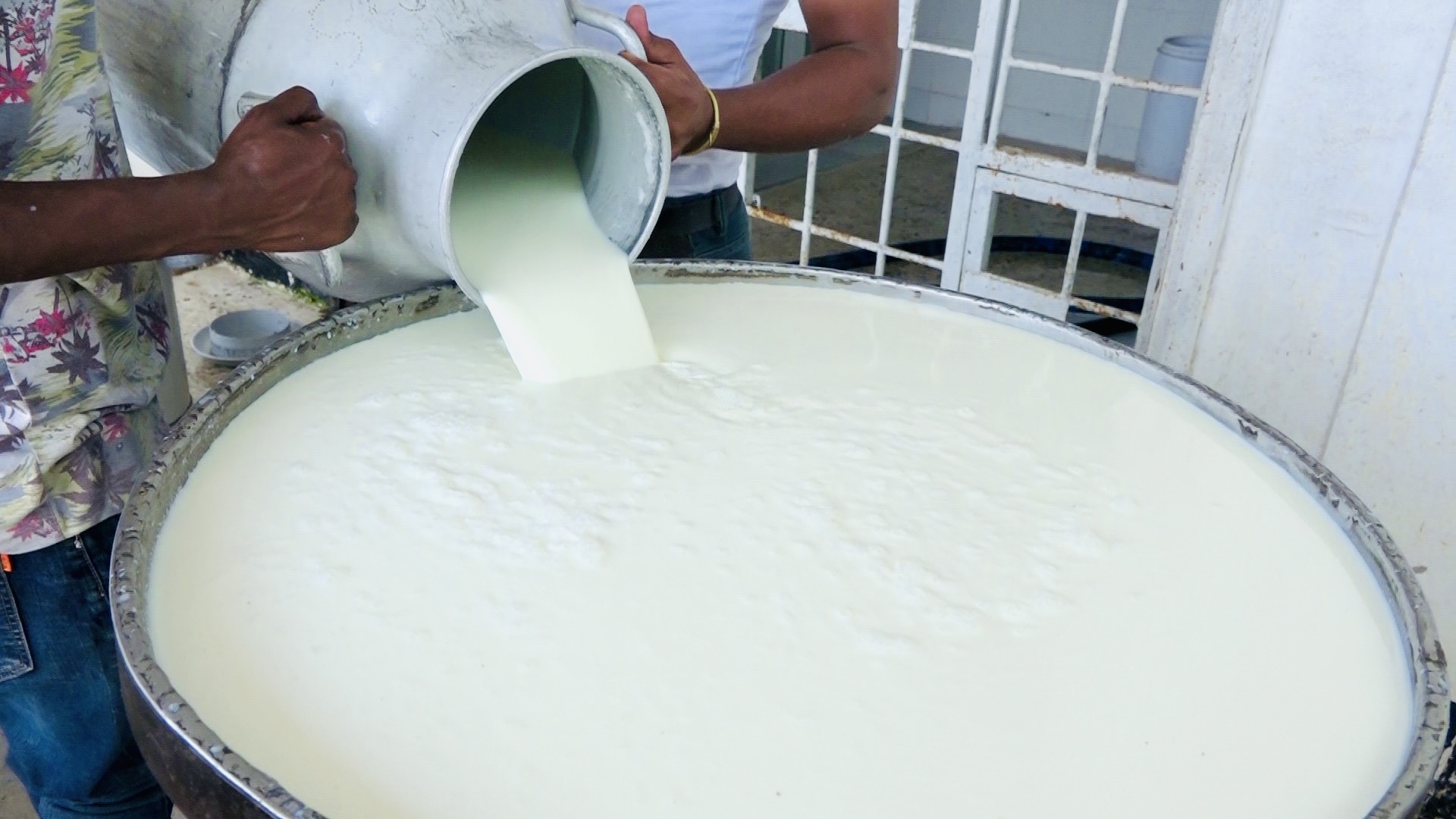 Tanzania sees decline in imports amid a significant increase in milk, meat, and egg consumption
