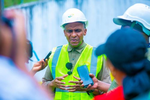 TANESCO orders completion of Hale power plant upgrade by July