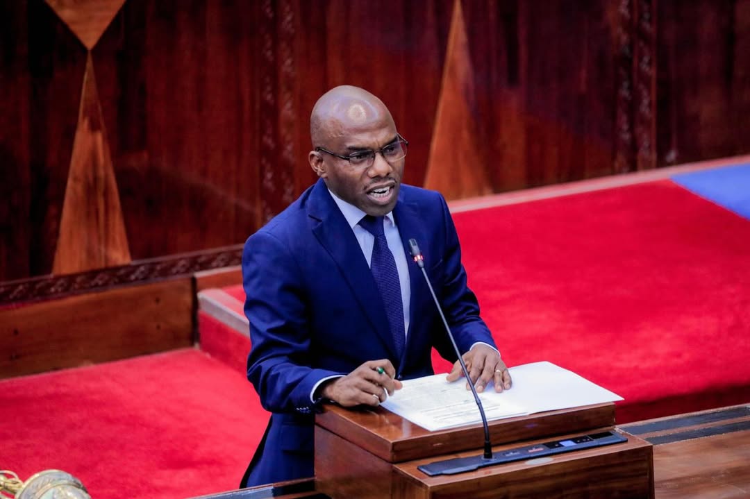 Government finalises Public Investment Bill revisions