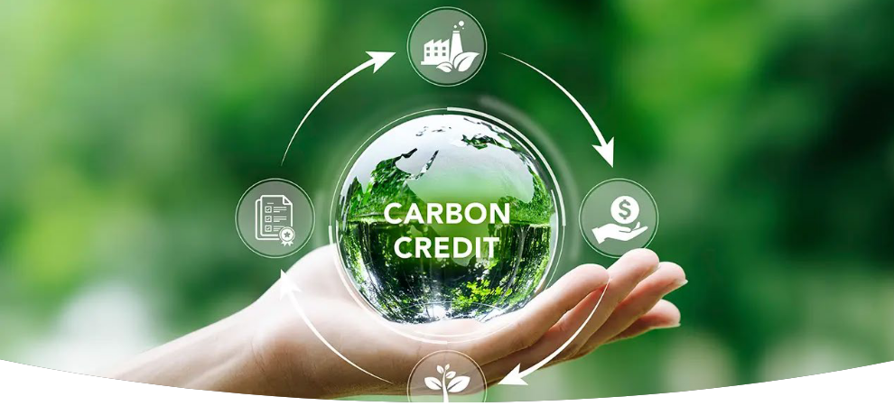  Tanzania is ready to unlock carbon trading opportunities