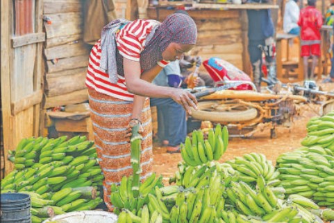 Women seen as key to Africa’s agricultural future