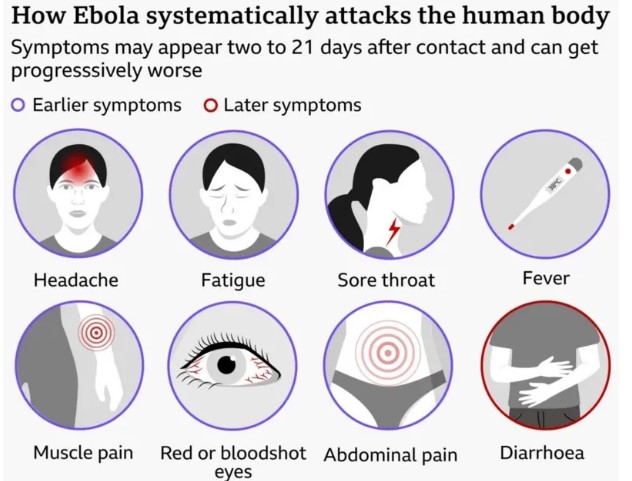 Africa summit in India postponed over Ebola outbreak fears