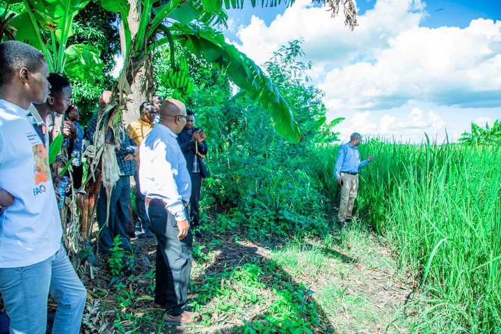 Indonesia injects 547,624 US dollars into Tanzania’s agricultural training system