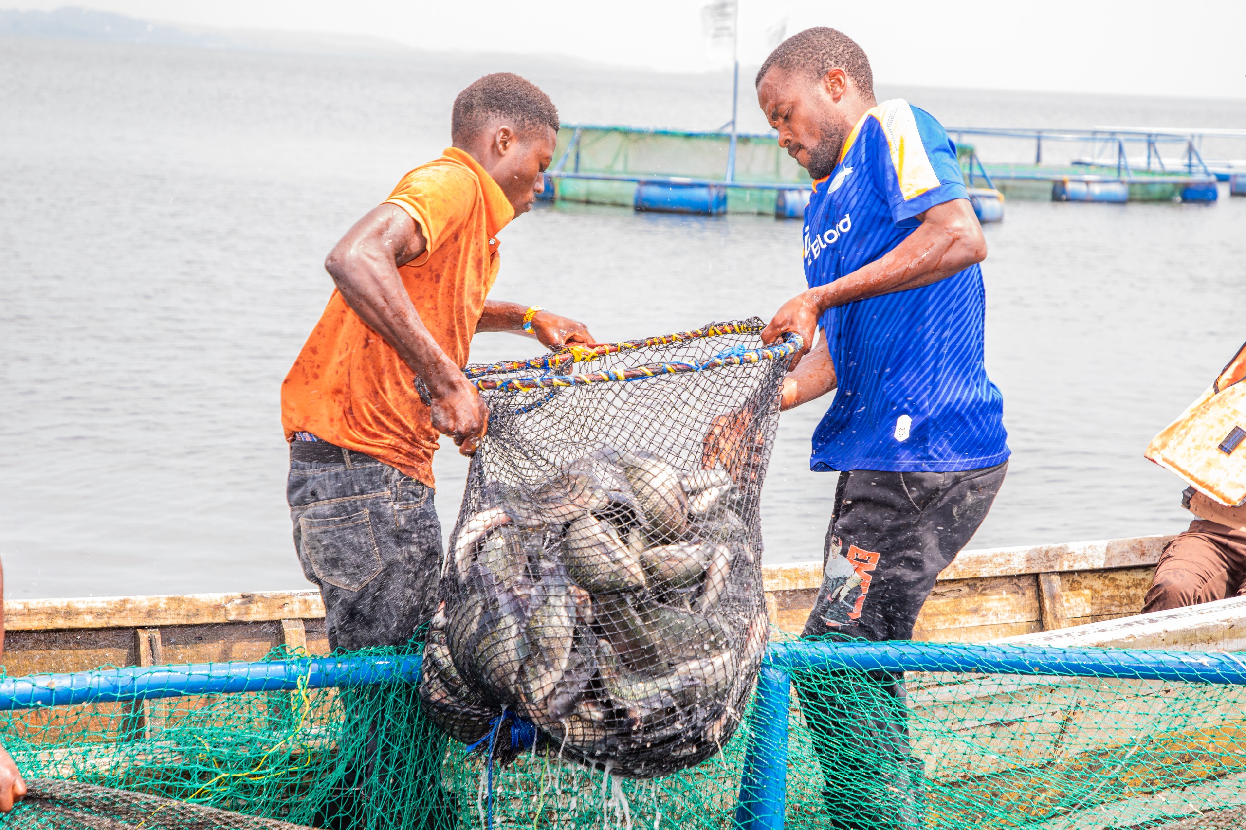 Tanzania claims success in its fight against illegal fishing