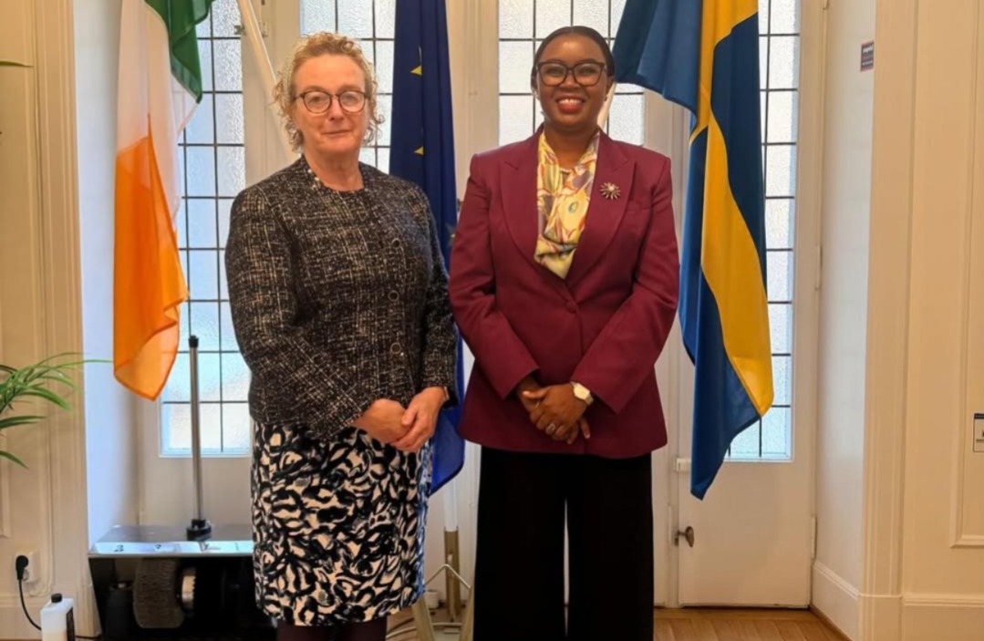 Tanzania and Ireland hold talks to cement their long-standing ties
