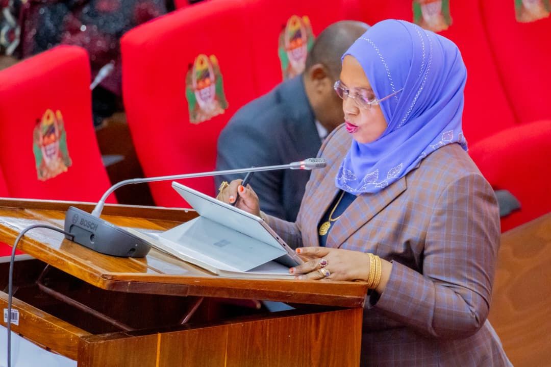 A big boost for Tanzanian tourism after constructing airstrips in Nyerere, Ruaha, and Mikumi Parks