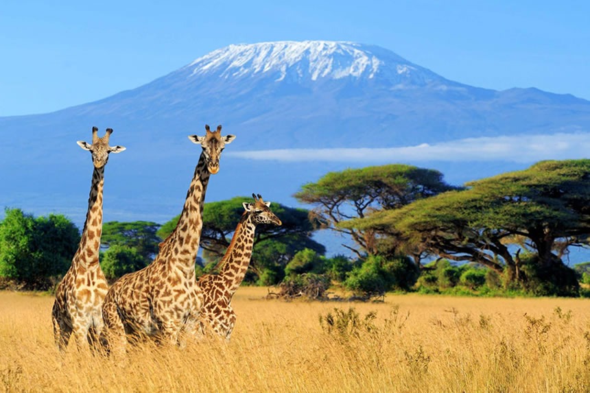 UN Tourism ranks high Tanzania after recording a 51 percent increase in tourist arrivals