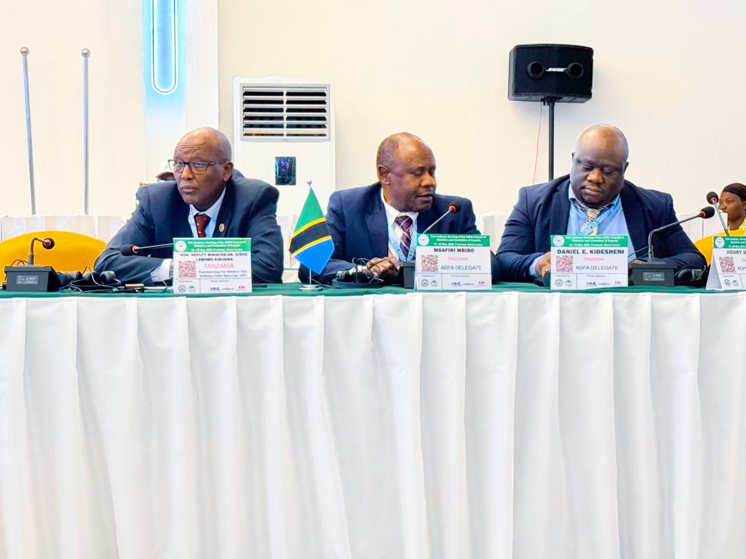 Tanzania calls for a united stance in protecting the market of natural diamond