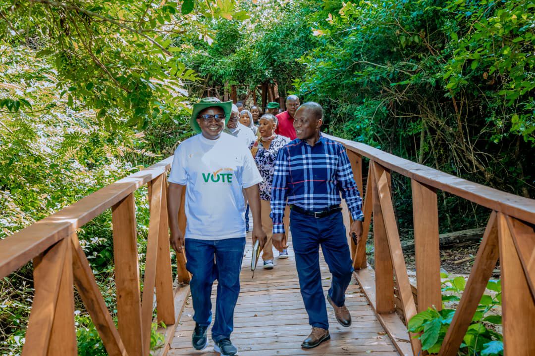 Tanzania forest project boosts eco-tourism at Pugu-Kazimzumbwi reserve