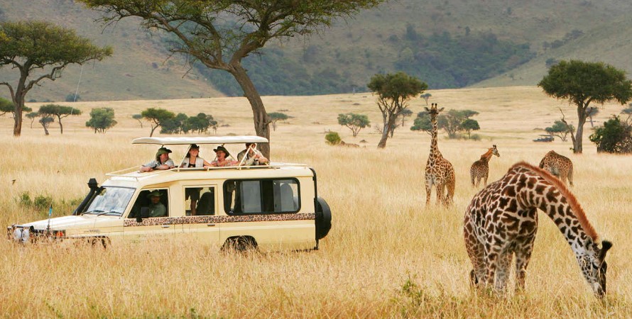 Lake Manyara national park: A hidden gem of wildlife and scenic beauty