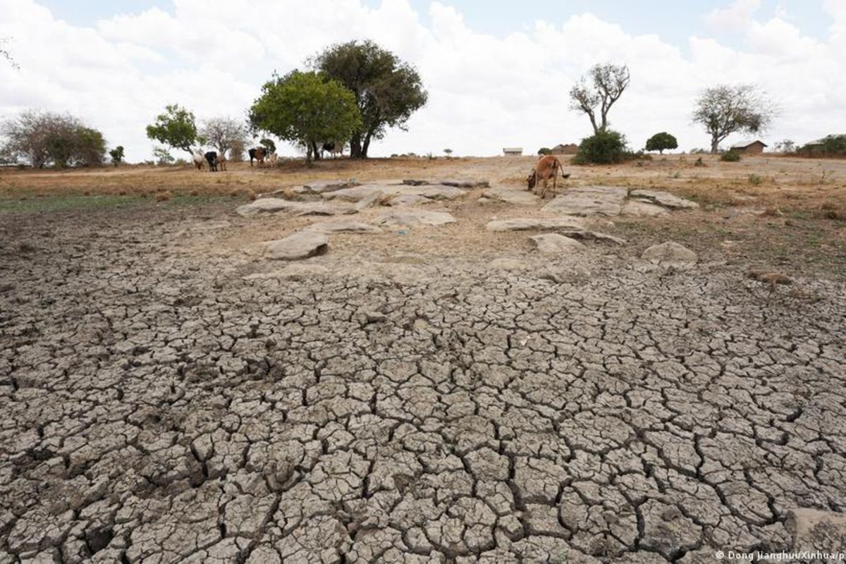 TZ commended for youthfocused climate change