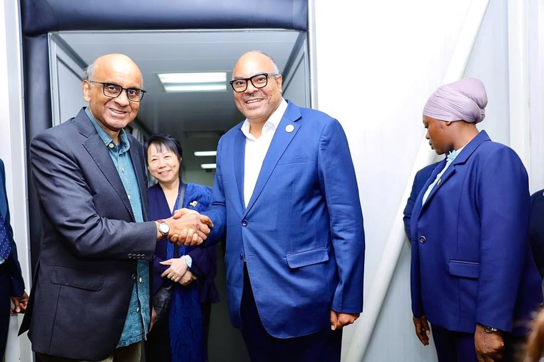Analysts see investment gains from Tanzania-Singapore ties