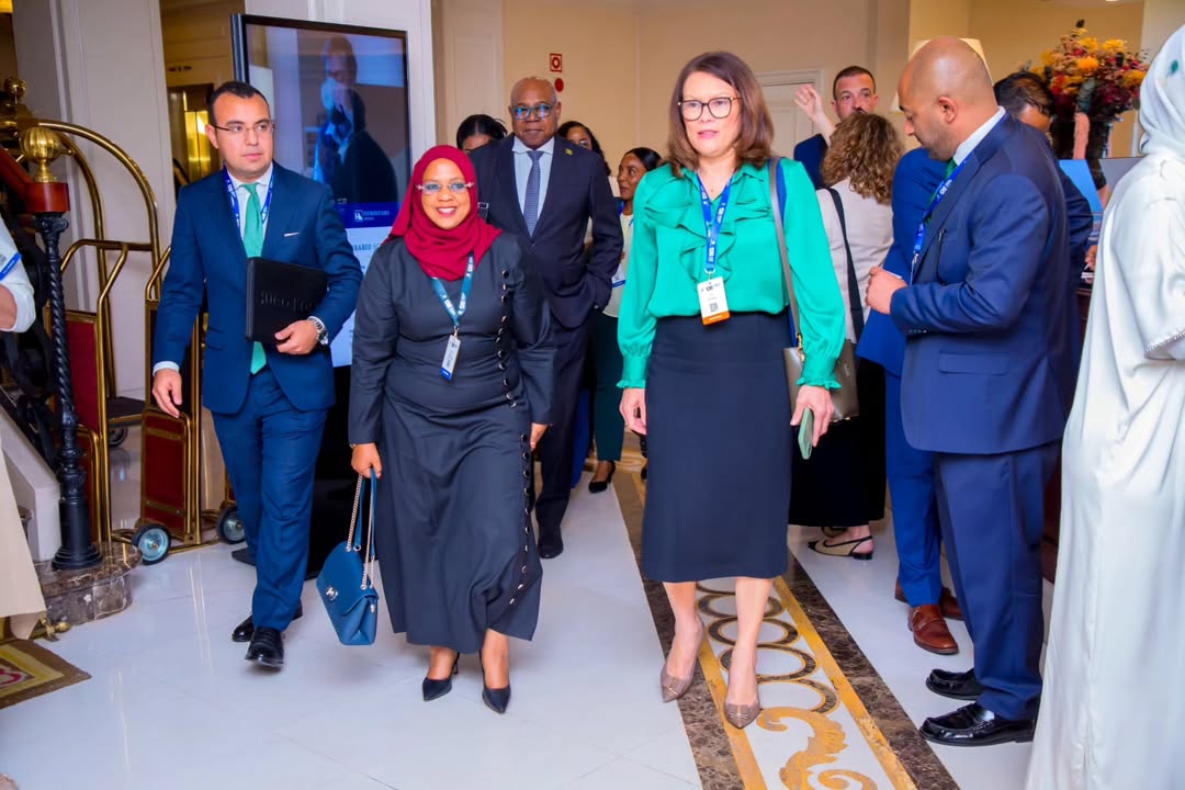 Tanzania pushes tourism agenda at UN meeting
