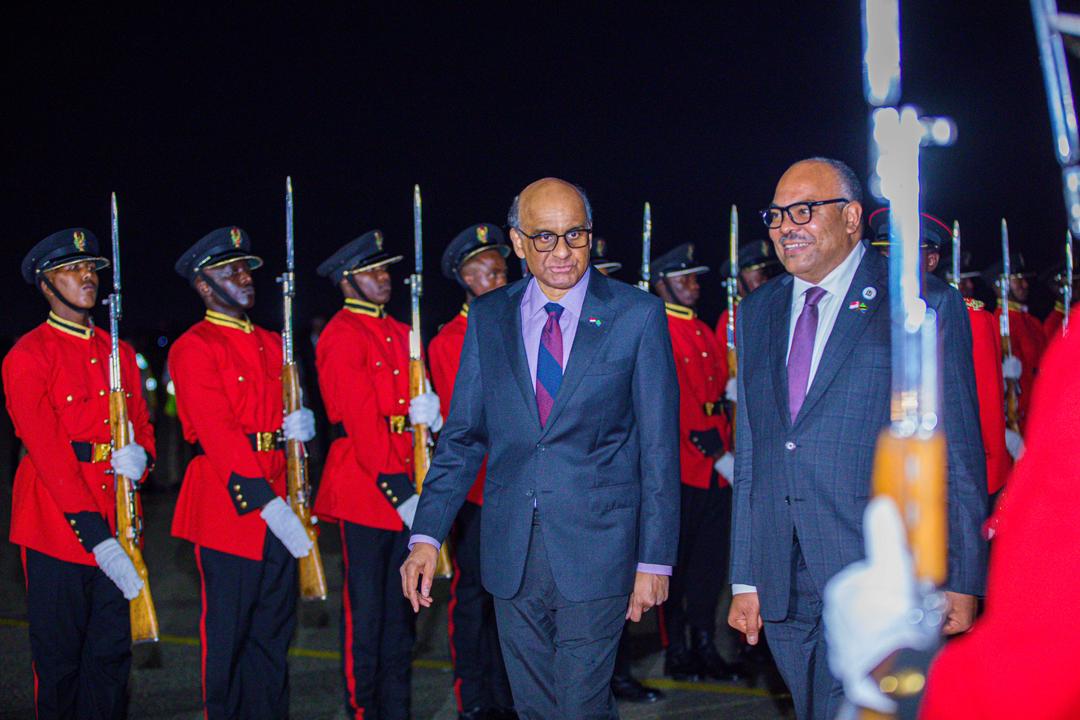 Tanzania, Singapore boost cooperation during historic state visit