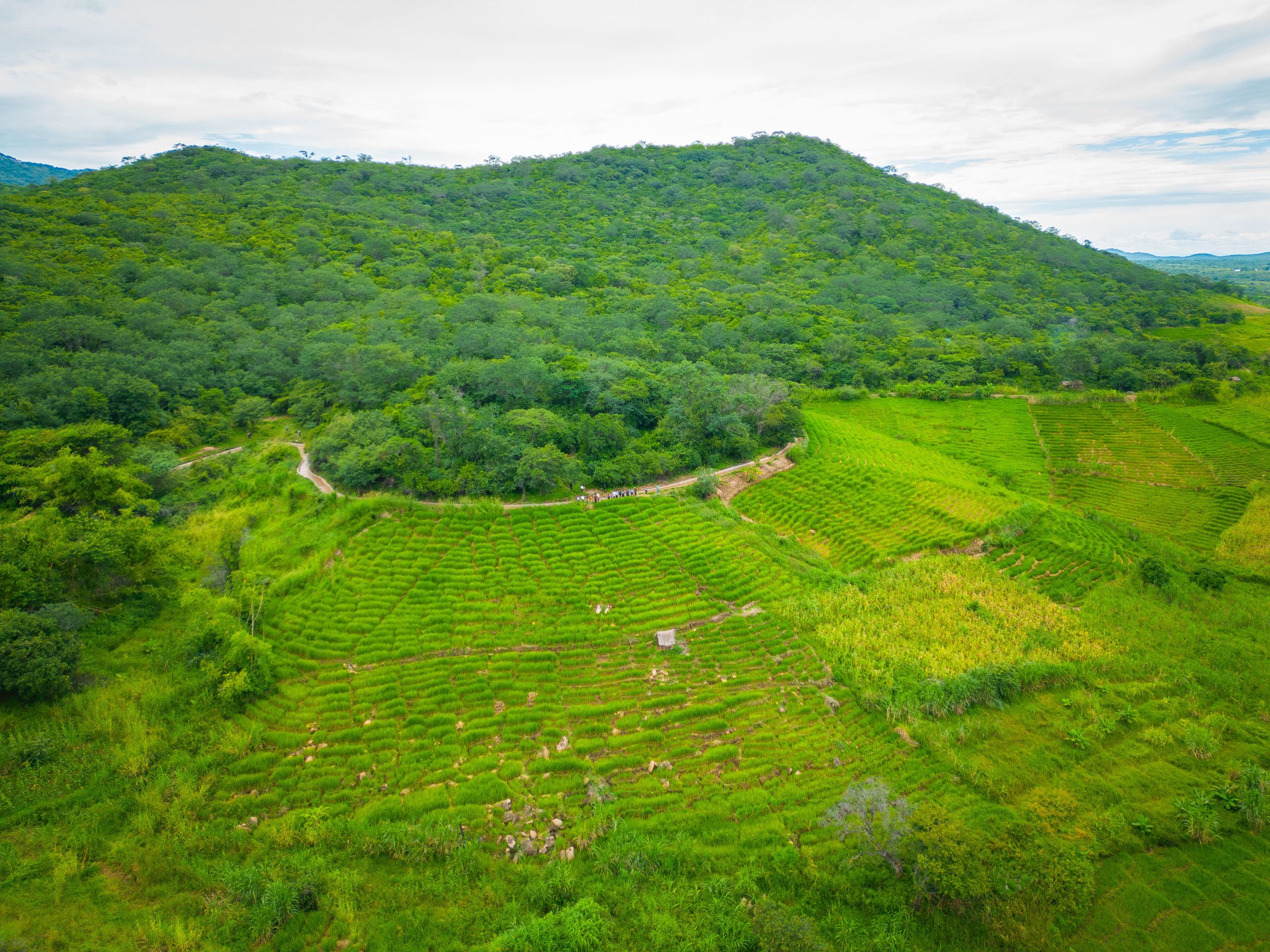 From degraded lands to green prosperity: How Tanza