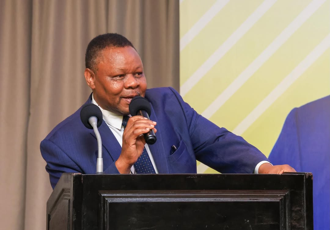 REA and TANESCO hailed for increasing access to clean energy after countrywide electrification