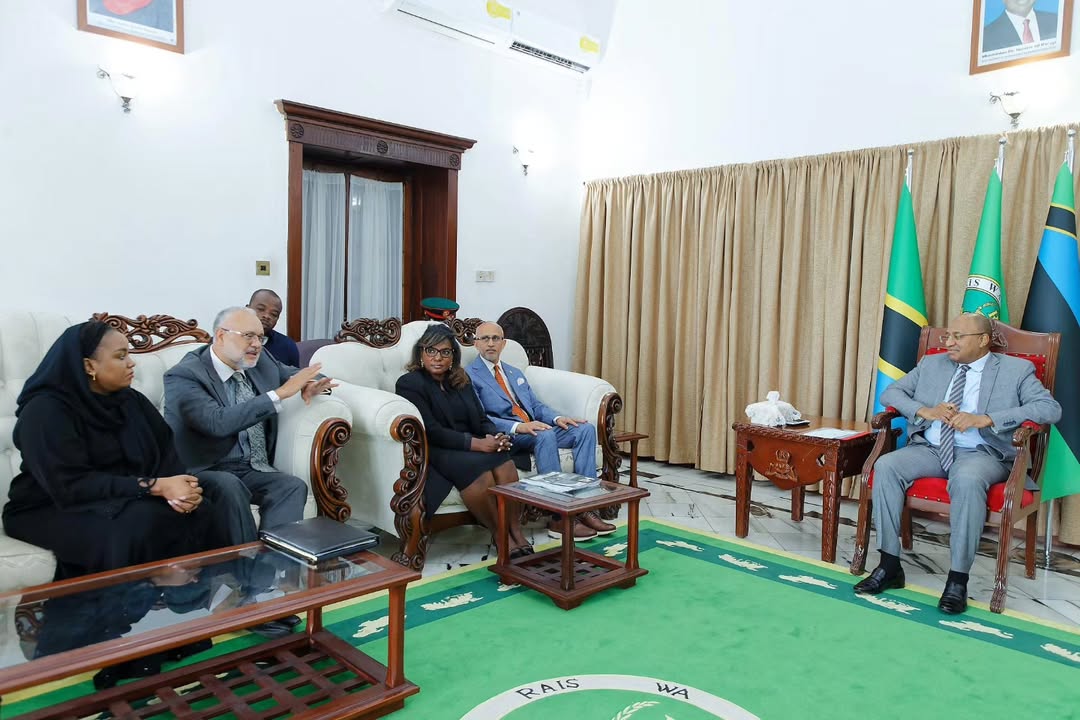 Mwinyi pledges stronger health partnerships