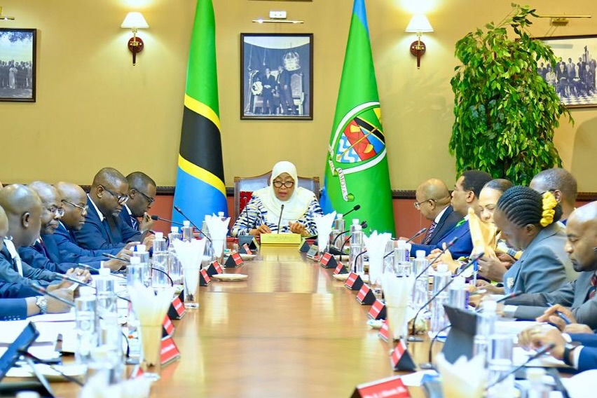 TZ to draw growth lessons