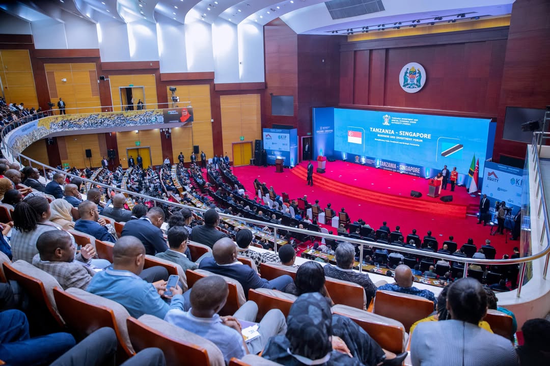 Tanzania, Singapore sign five landmark deals to bo