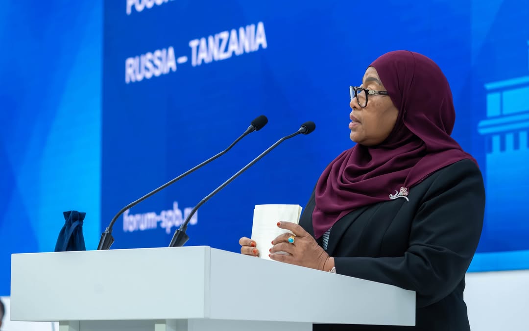 Samia elevates economic ties