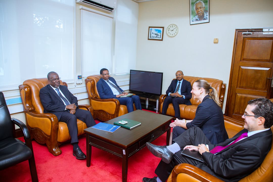Tanzania, IMF affirm their strong ties in supporting economic stability