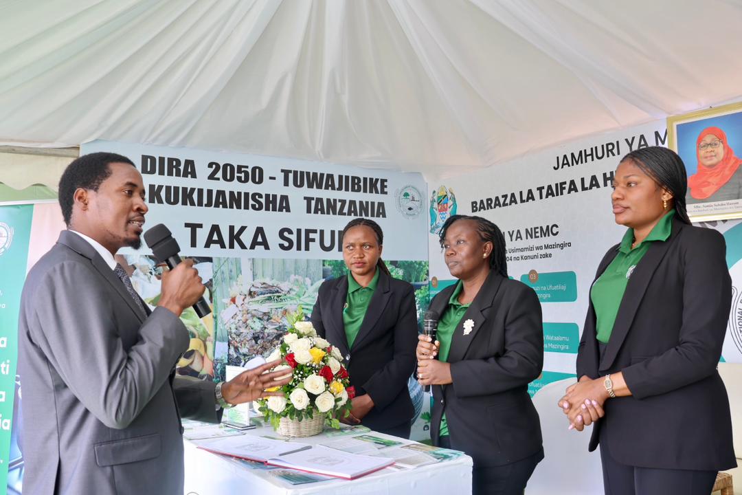 PMO-RALG commends NEMC’s public awareness efforts in  environmental conservation